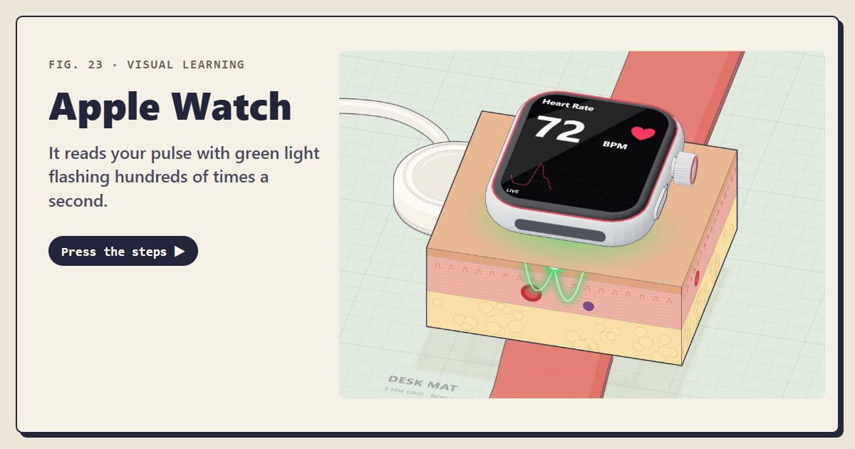 Apple Watch · Visual Learning